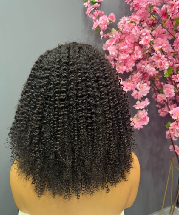 Kinky Curly Wig